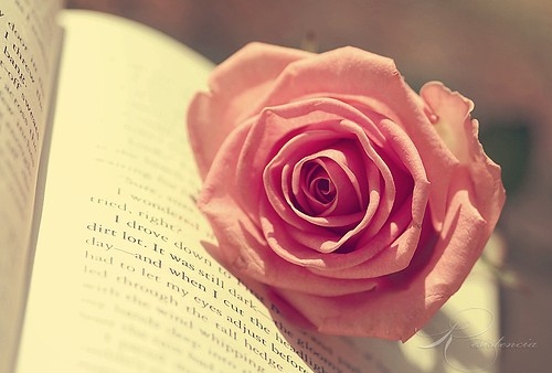 flower on book