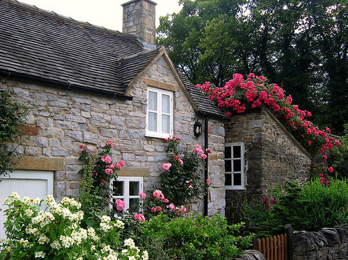 cottage, flowers and house