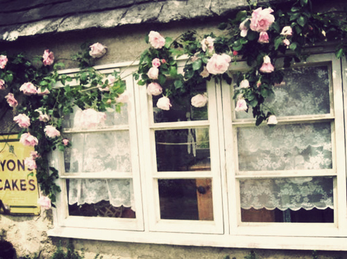 flowers, lace, pink, rose, runawaylove.blogg.no, vintage