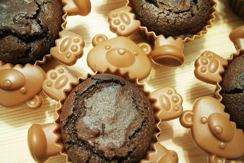 adorable, bears and chocolate
