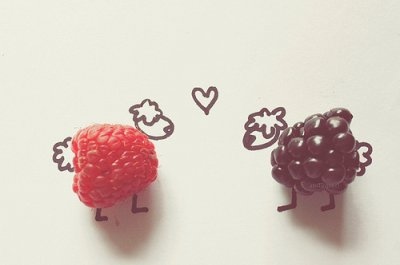 animals,  berry and  cute