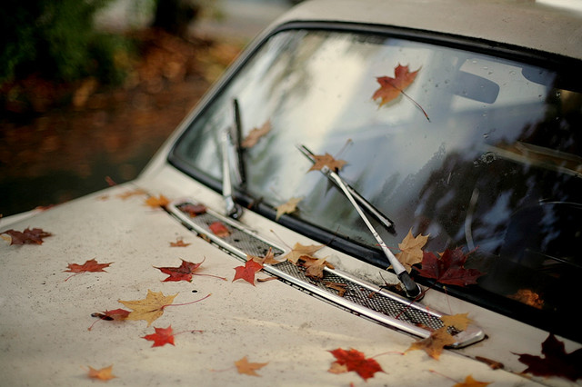 autumn, bokeh and car