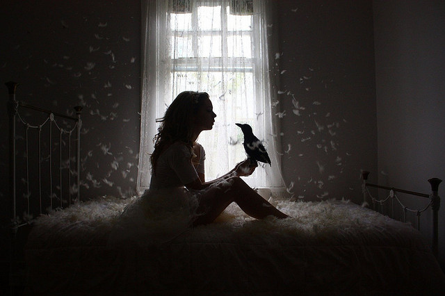 beautiful, bed and bird