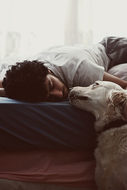 bed, boy and cuddle