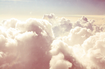 birds, blue, calm, cloud, clouds, earth