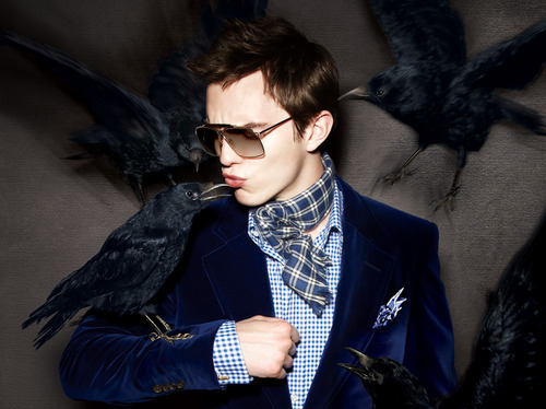 birds, blue and male model