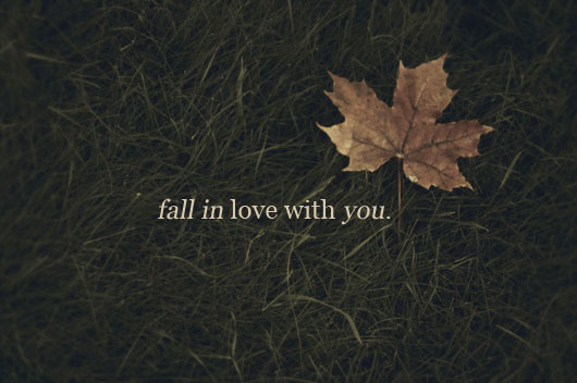 fall, grass and love