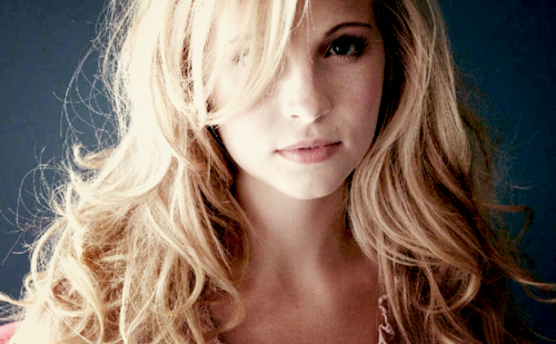 beauty,  blonde and  candice accola