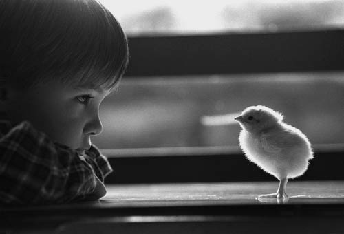 bird, black and white and boy