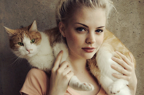 blonde, cat and kitten