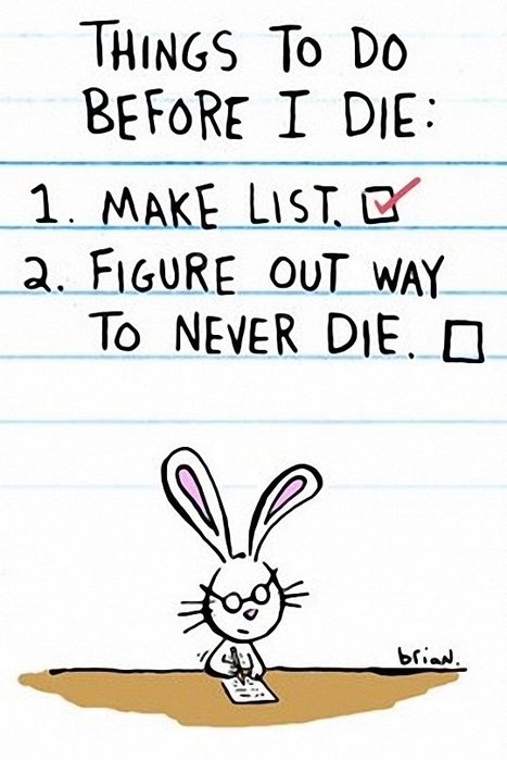 bunny, cute, list, missing a in awesome, quote, text