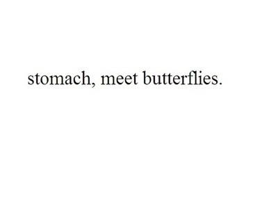 butterflies,  butterfly and  meet