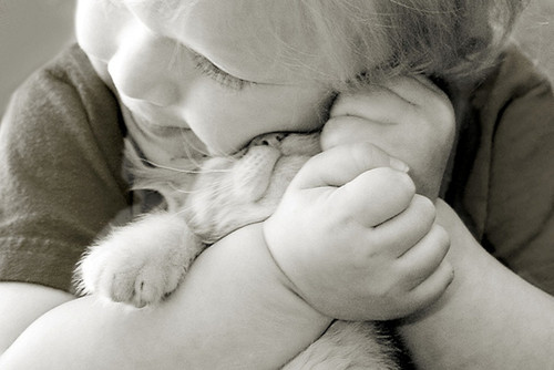 cat, child and cute