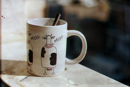 coffee, cow and cup of coffee