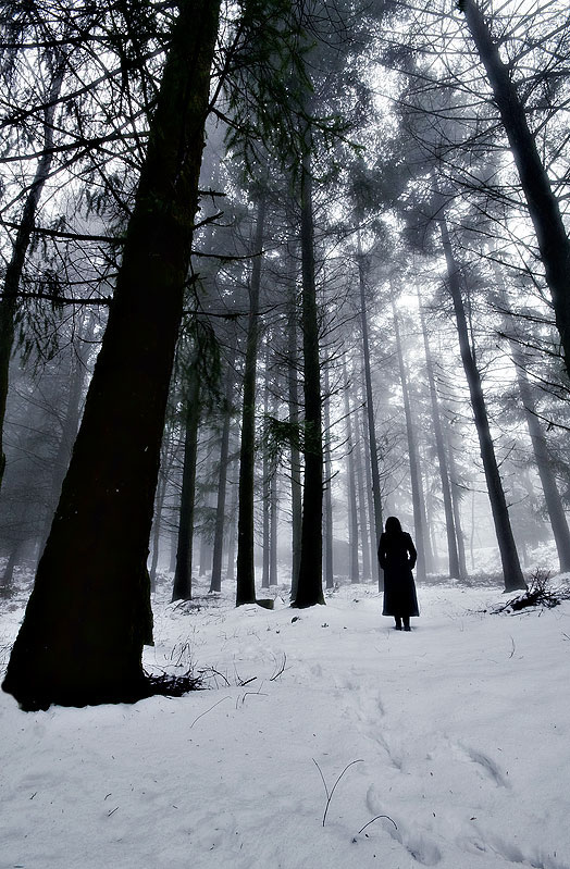 forest, girl and snow