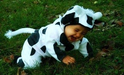baby,  cow and  cute