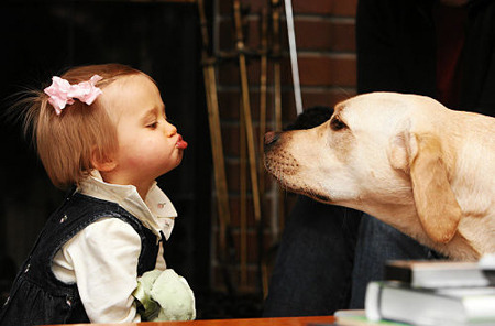baby cute dog girl kiss