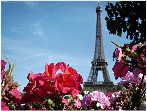 beautiful, eiffel tour, eiffel tower, europe.paris, france, place