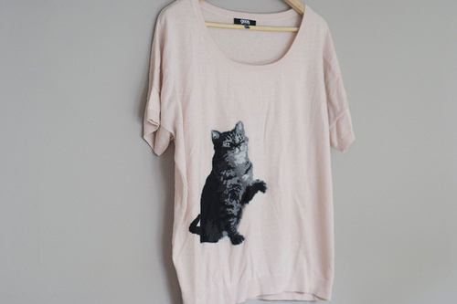 cat, fashion and girly