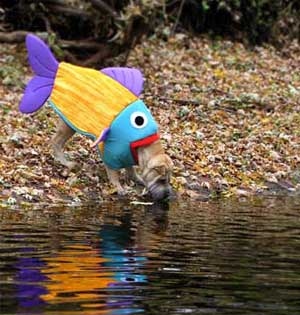 costume,  dogs and  fish