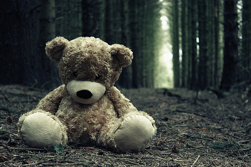 http://favim.com/orig/201105/14/lonely-lost-sad-teddy-bear-woods-Favim.com-44395.jpg