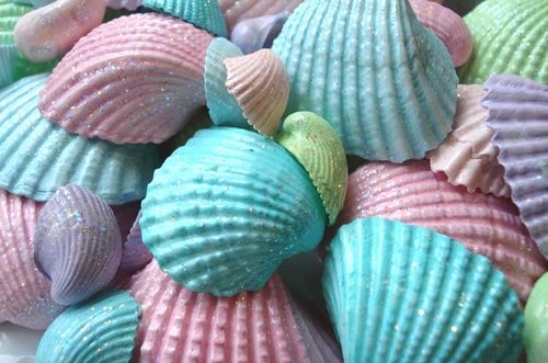 pastel, pastels and sea shells