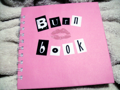 amanda seyfried, book and burn book