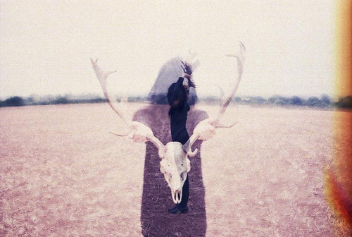 animal, antlers and double exposure