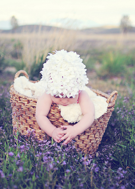 baby, basket and cute
