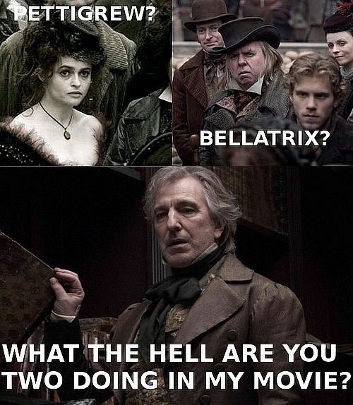 belatrix, bellatrix lestrange and harry potter