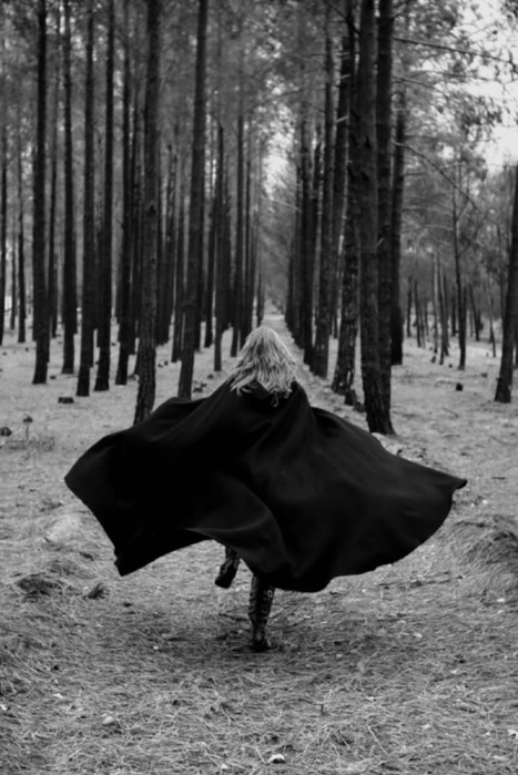 black and white, cape and forest