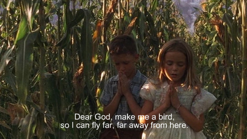 forrest gump,  movie and  pray