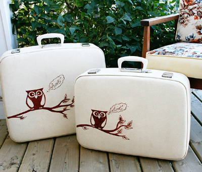 luggage, owl and owls