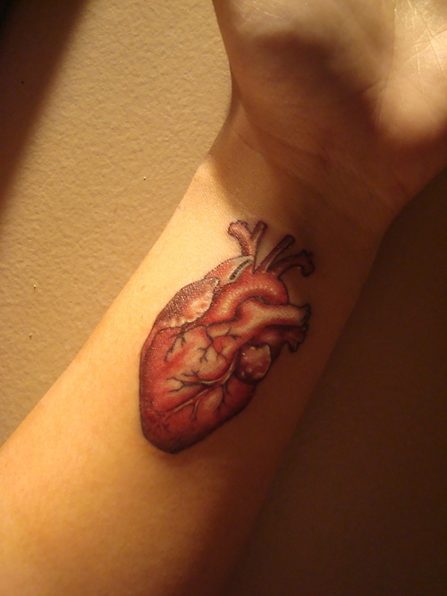 analogy, arm and heart