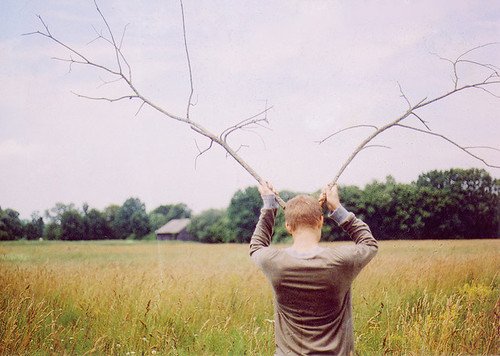 antlers, boy and field