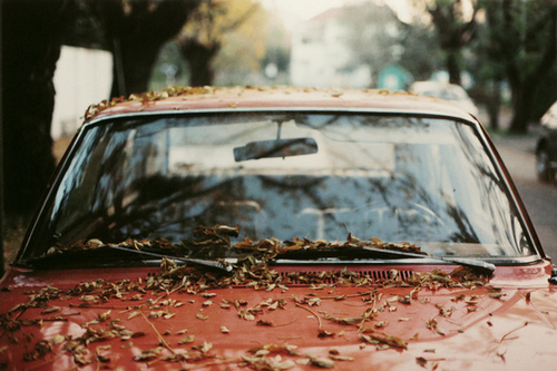 autumn, beauty and car