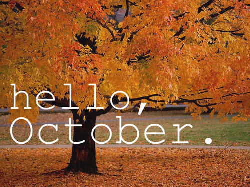 autumn, cute, leaves, october, orange, photography