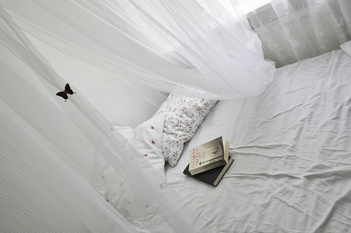 beauty, bedroom, book, butterfly, comfy, girl