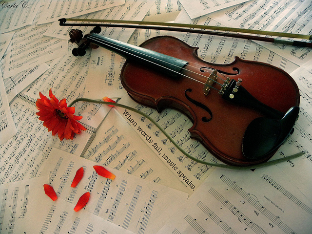 flower, music and musica