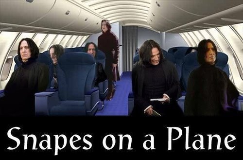 snapes on plane. snakes on a plane, snape
