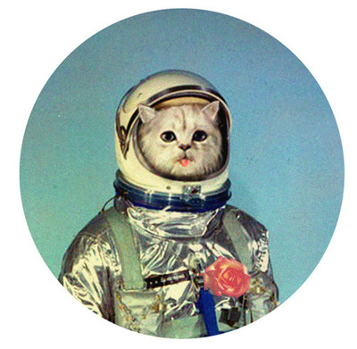 art, astronaut and cat