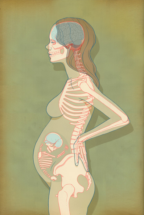 baby, bones and illustration
