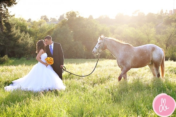 bride, casamento and cavalo