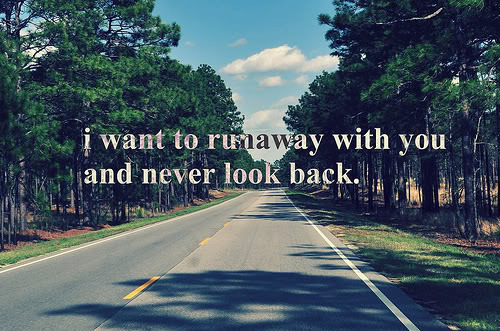 nature, quote and road