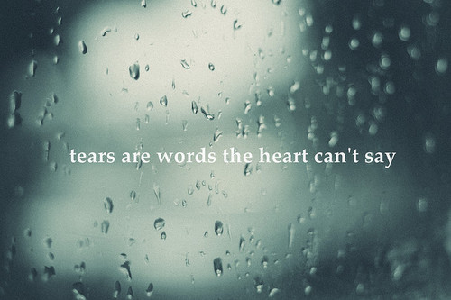 quote, rain and tears