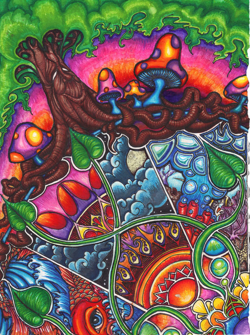 art, colorful and shrooms