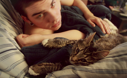 Cute Cat Boys