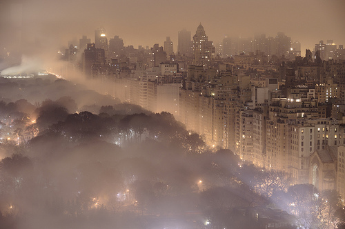 central park, city and dust