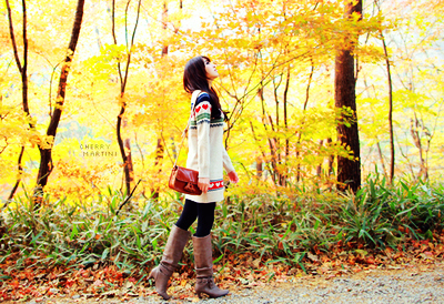 asian,  autumn and  autumn walk