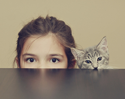 baby, cat and childhood